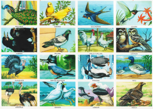 Aves